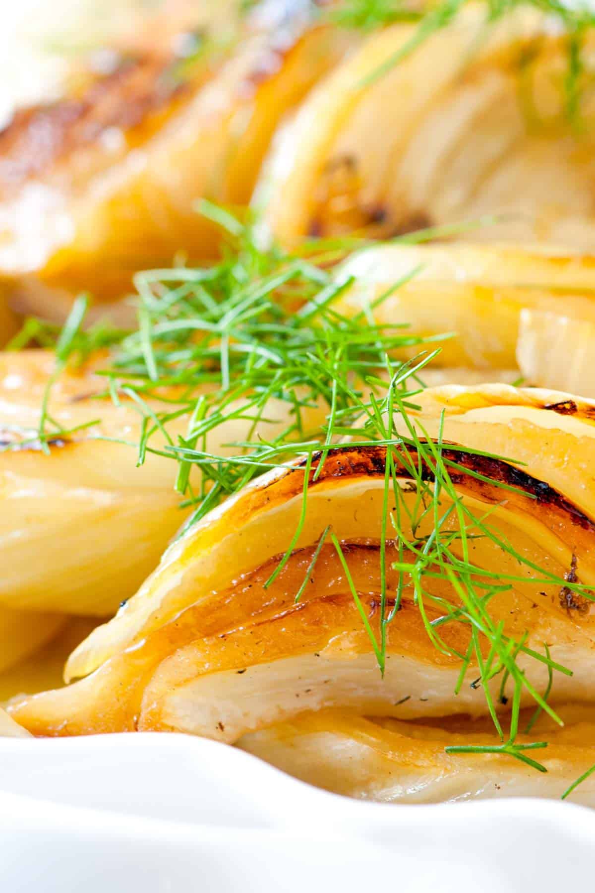 Braised Fennel