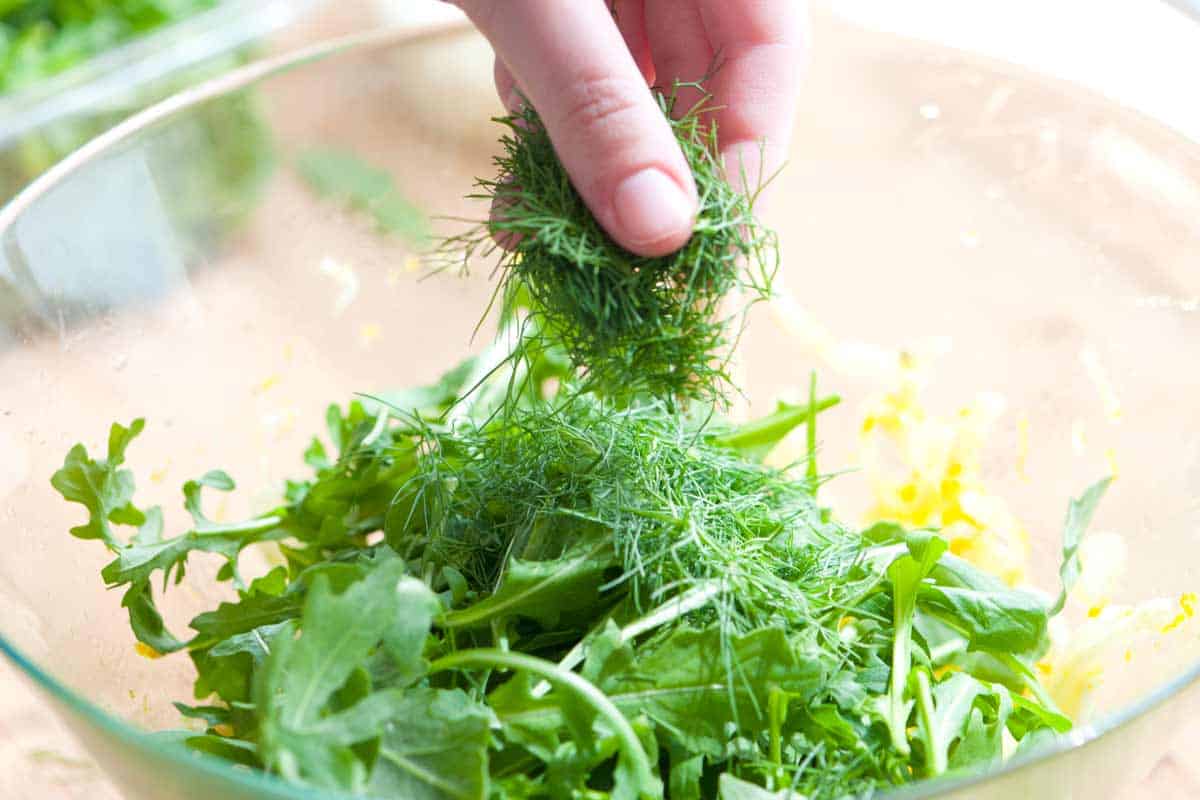 Shaved Fennel and Arugula Salad Recipe Finishing the arugula fennel salad with fennel fronds