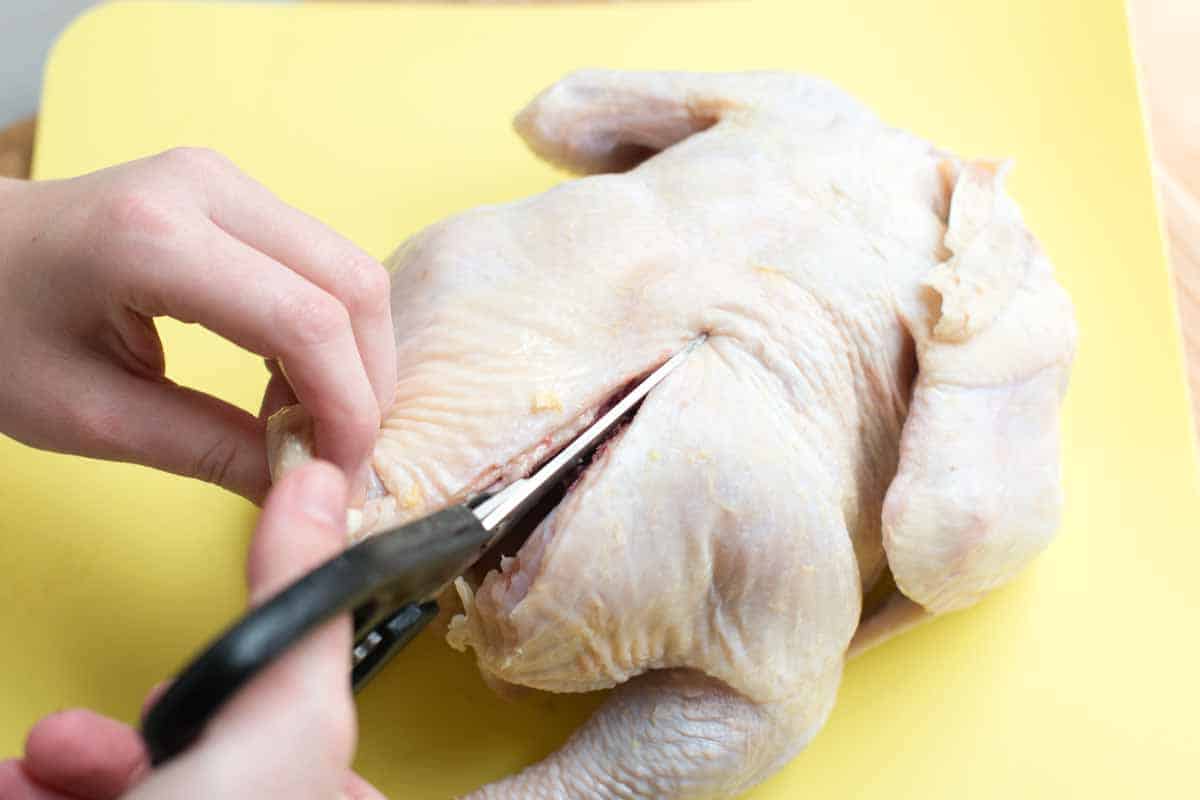 Rosemary Roasted Butterflied Chicken with Vegetables Using kitchen shears to remove the backbone from a whole chicken