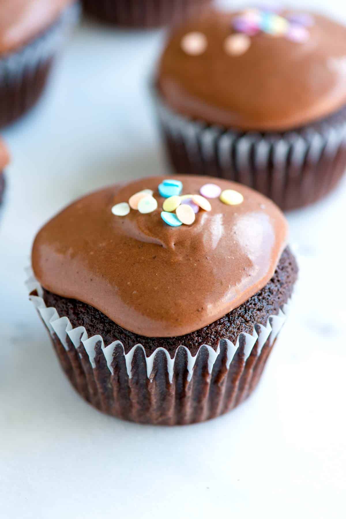 Double Chocolate Cupcakes with Chocolate Sour Cream Frosting