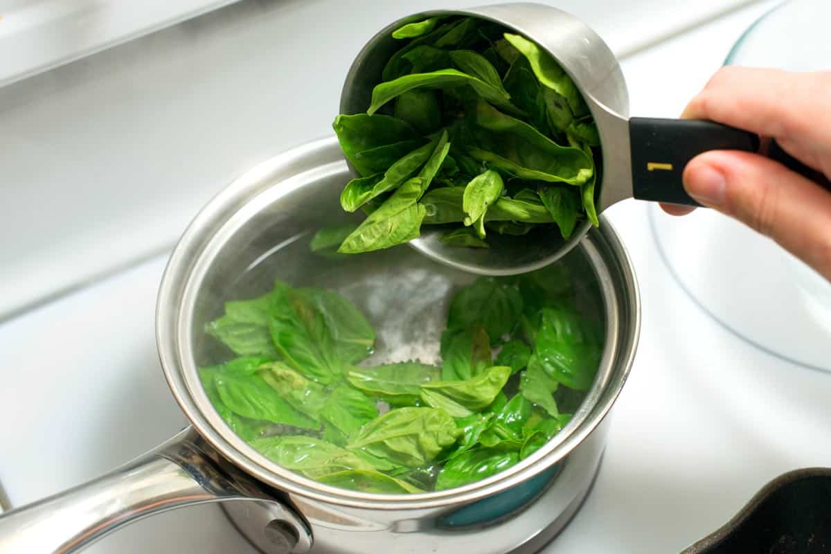 Blanching basil leaves for the best basil pesto.
