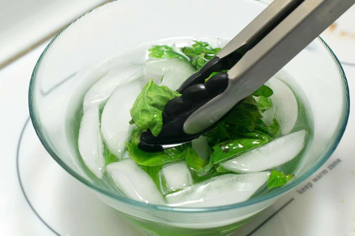 Making the greenest pesto - putting blanched basil leaves into an ice bath.