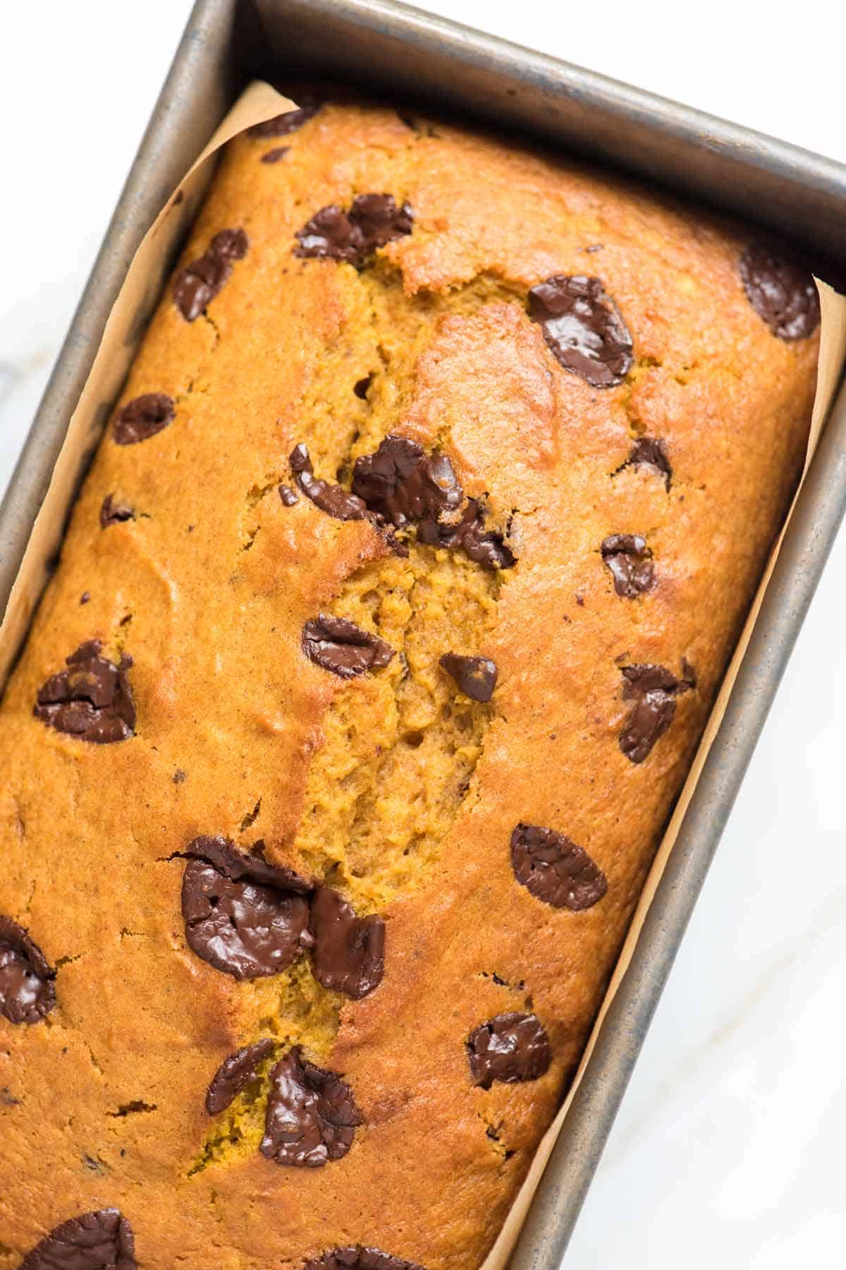 Chocolate Chip Pumpkin Bread