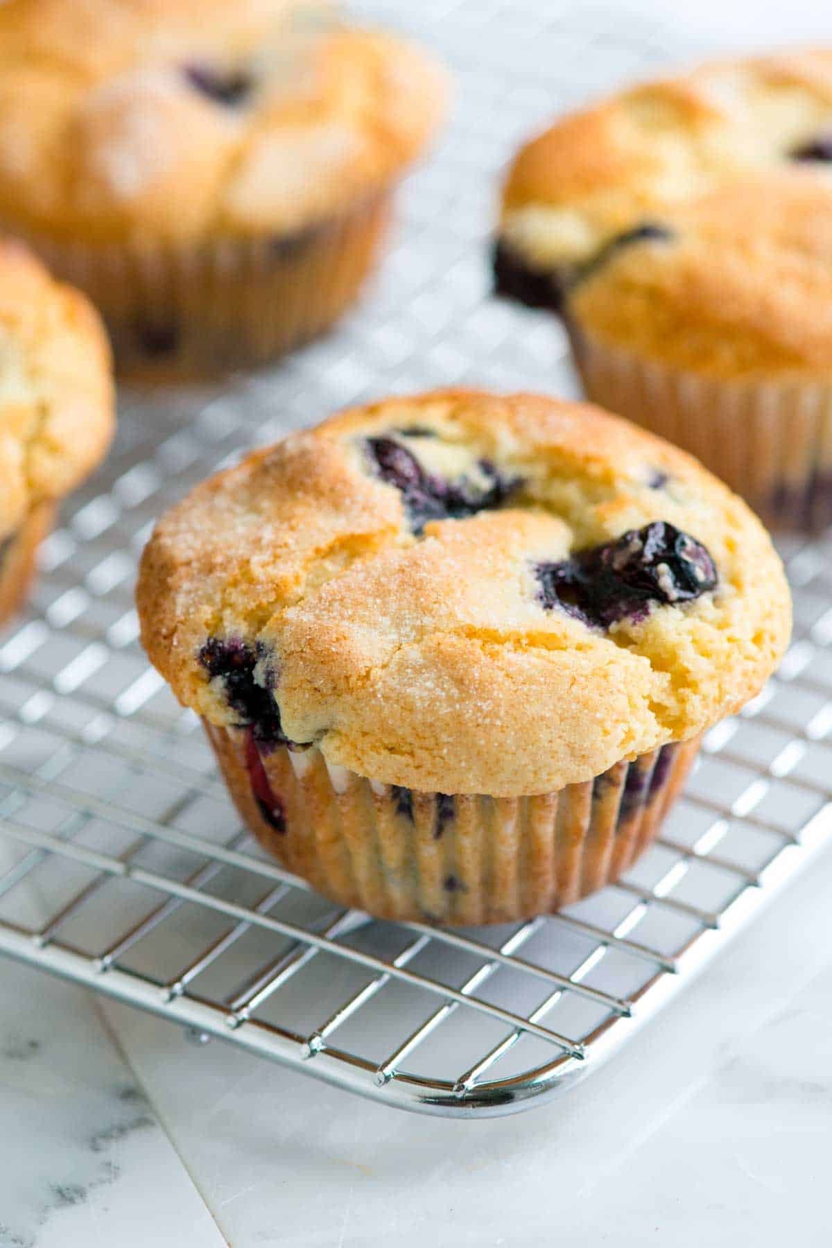 Blueberry Muffins