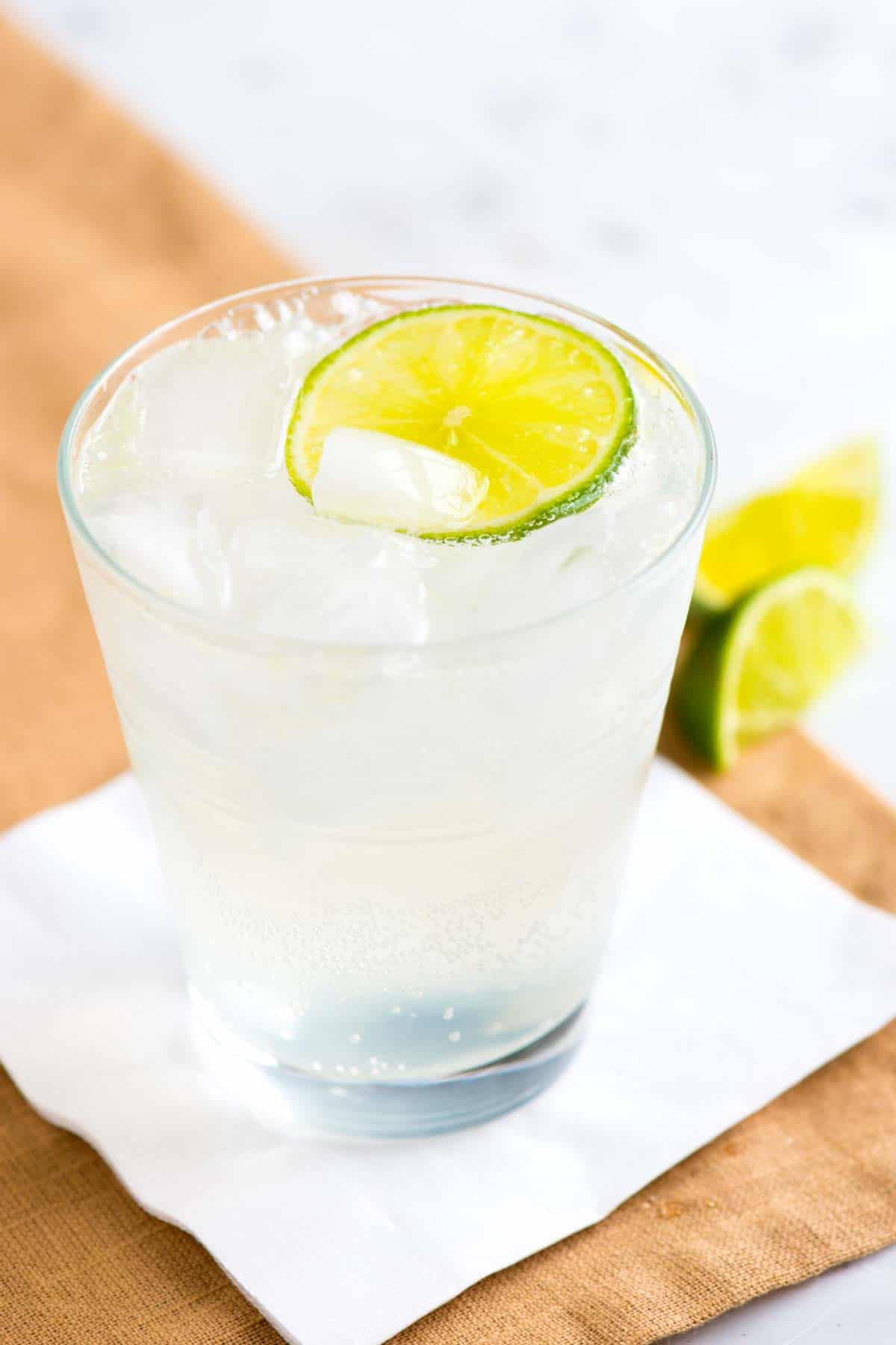 Gin and Tonic Cocktail