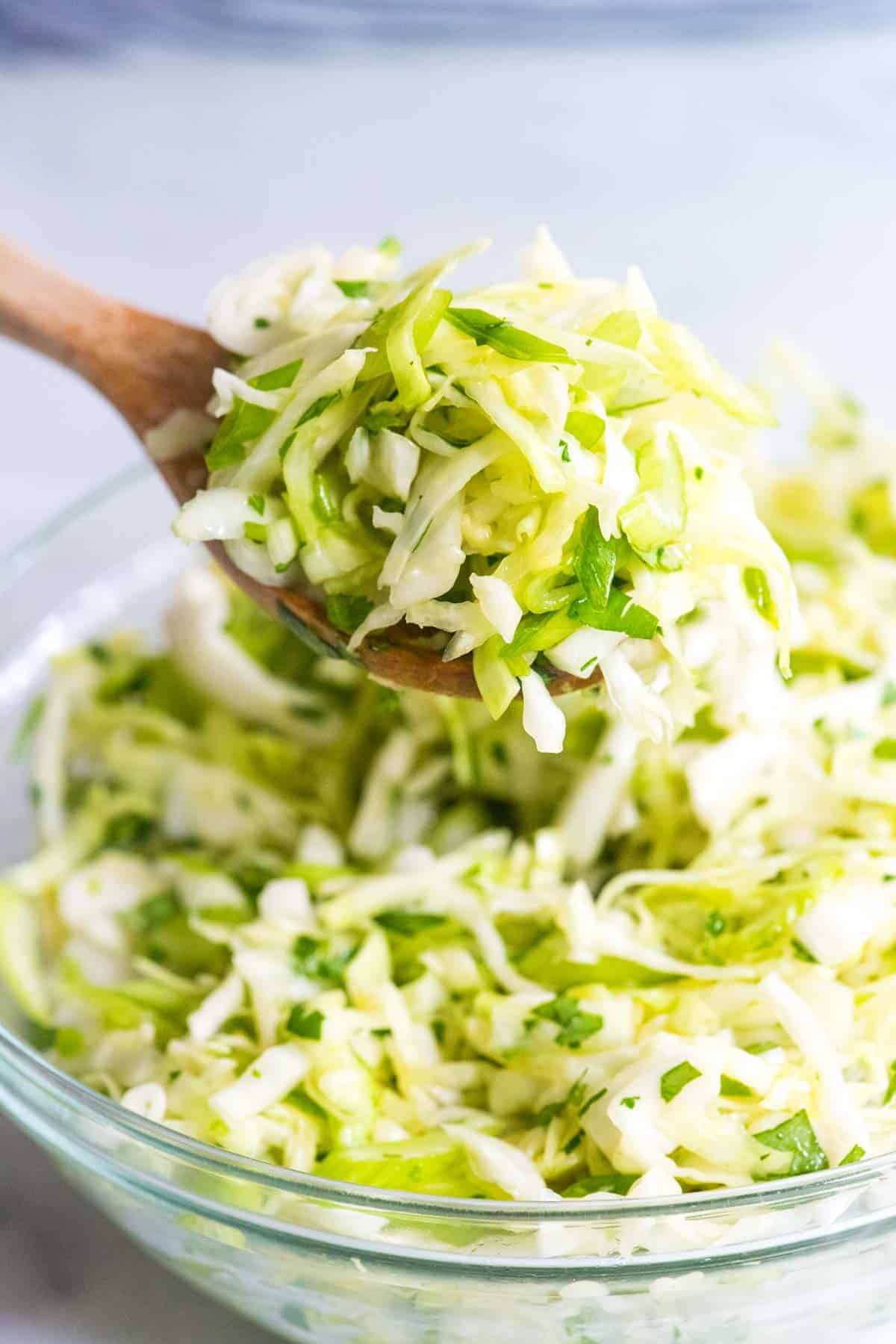 Cilantro Lime Slaw