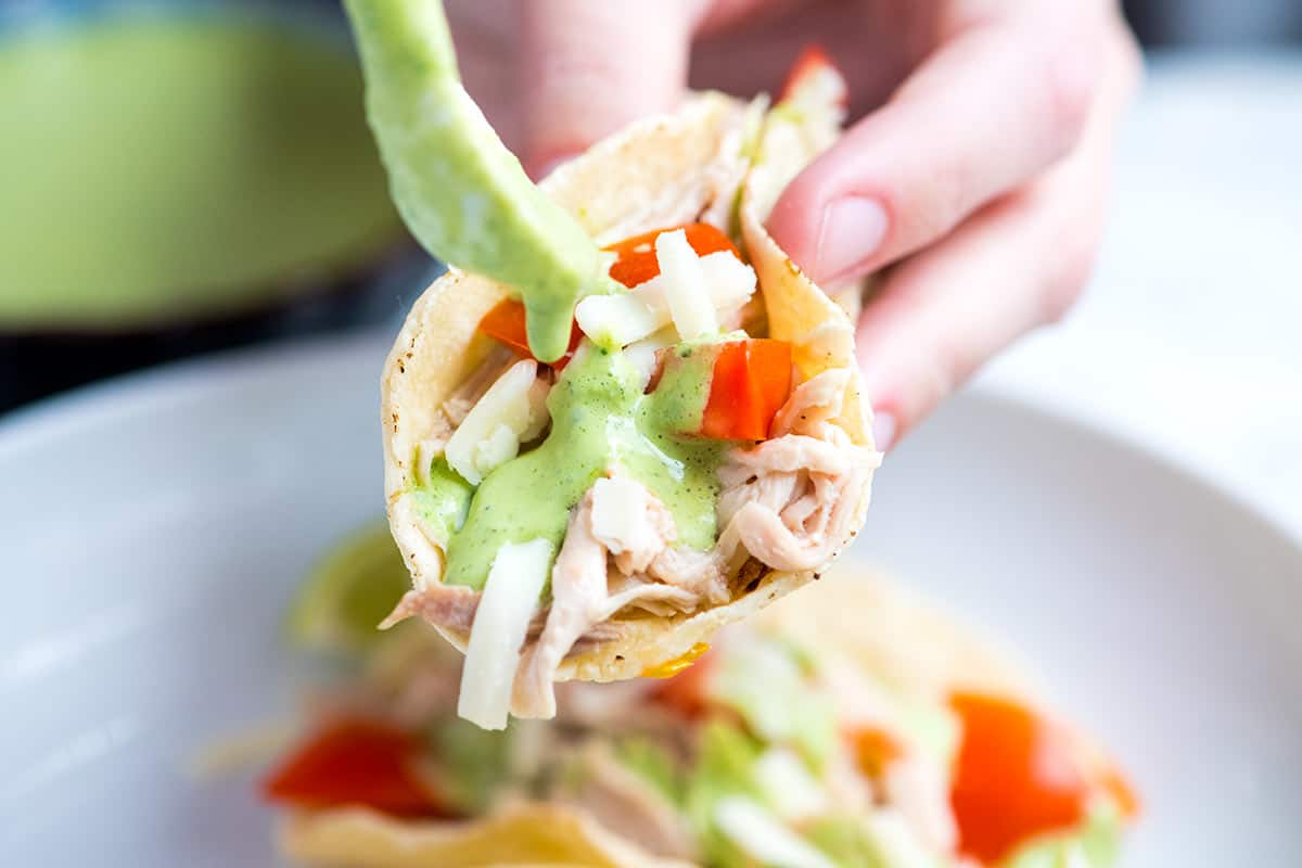 Spooning Cilantro Sauce over Shredded Chicken Tacos