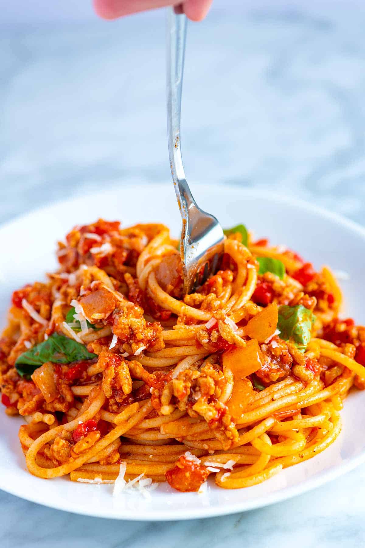 Spaghetti with Meat Sauce