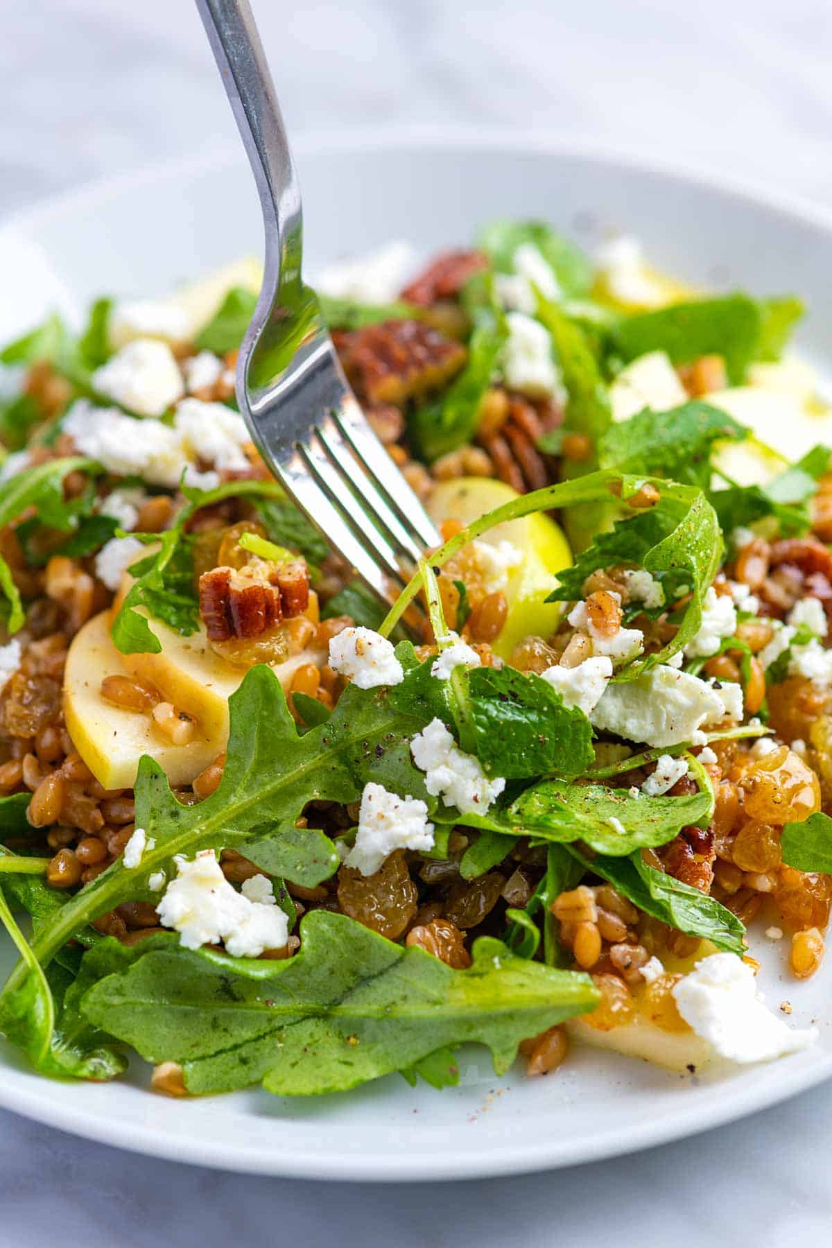 Farro salad with cooked farro, sweet apples and arugula