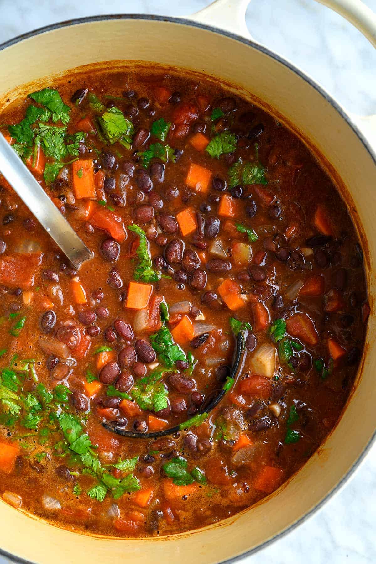 Pot of homemade black bean soup