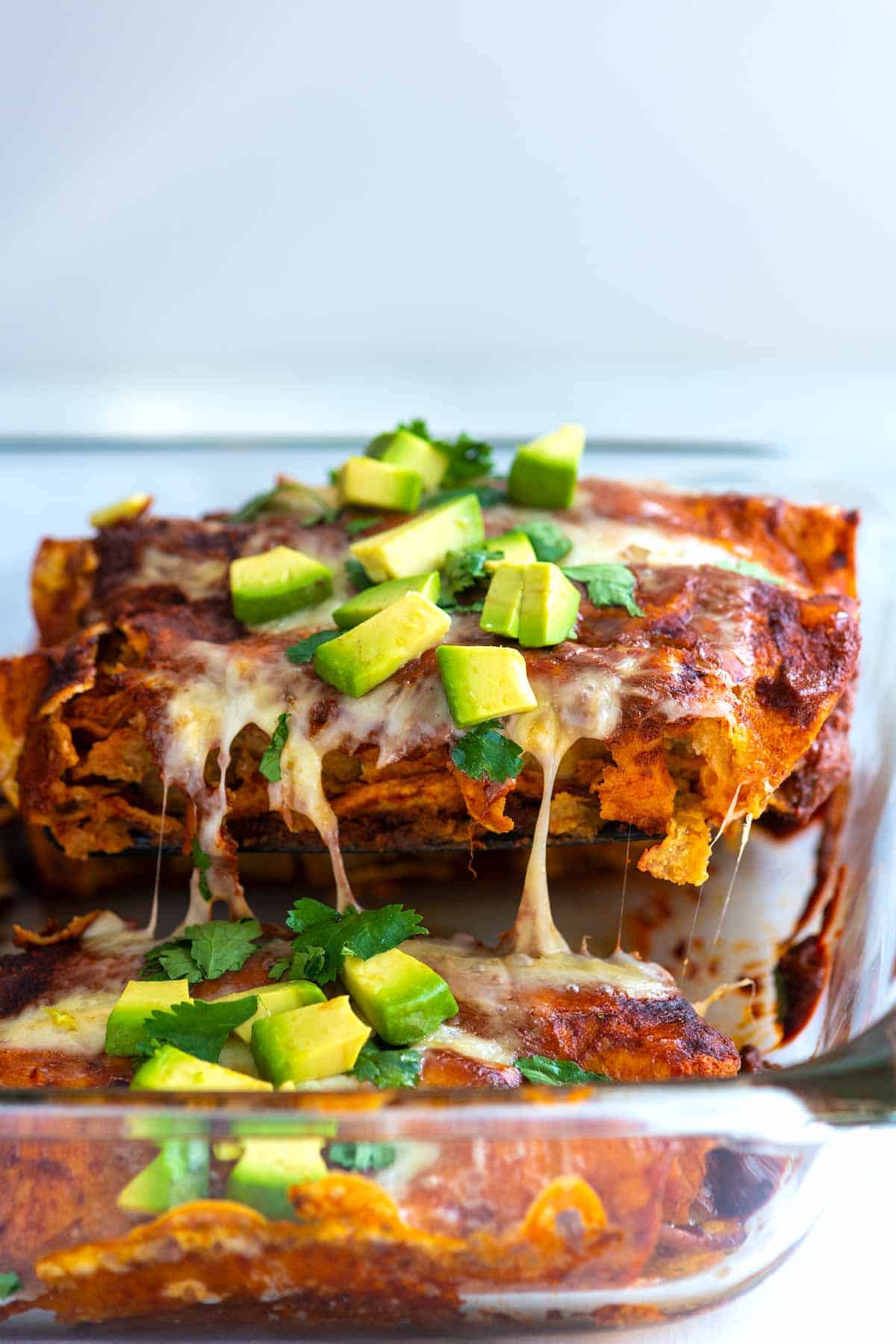 Homemade Chicken Enchiladas