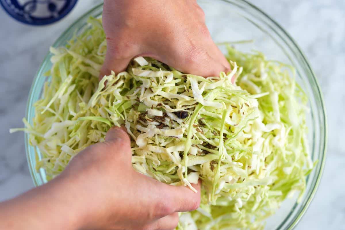 How to Make Quick Sauerkraut: Massaging cabbage with salt and spices