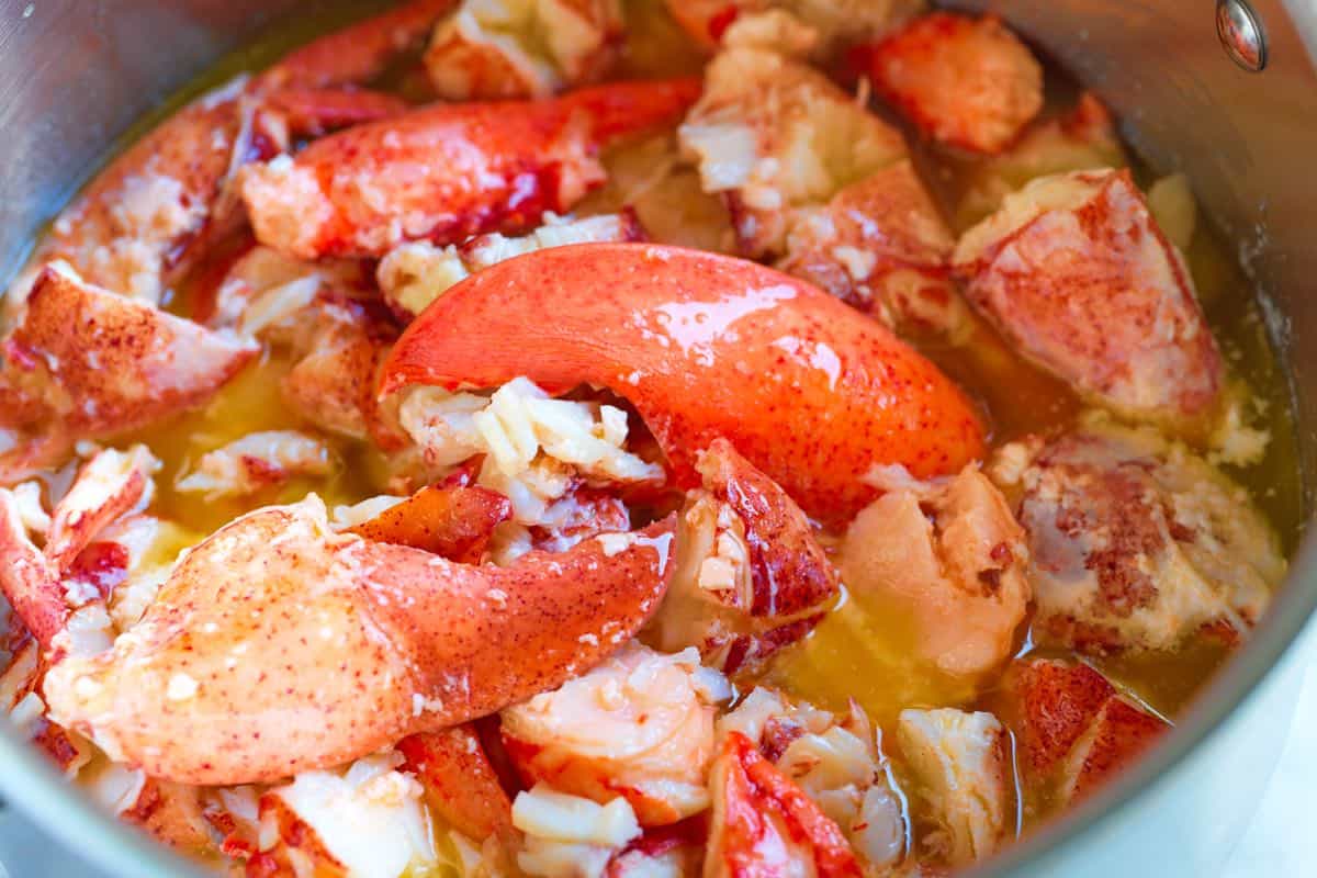 Lobster in a bath of melted butter ready for lobster rolls