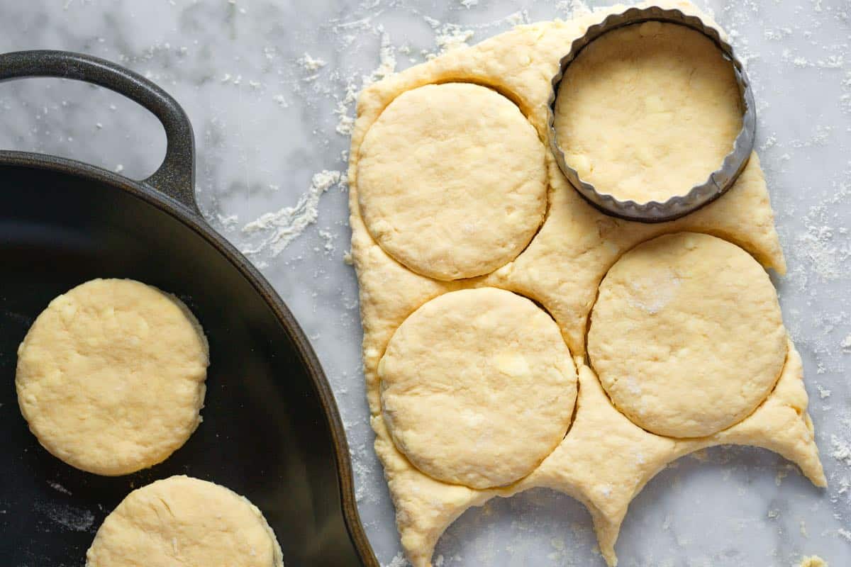 How to Make the Best Biscuits: Cutting out biscuits