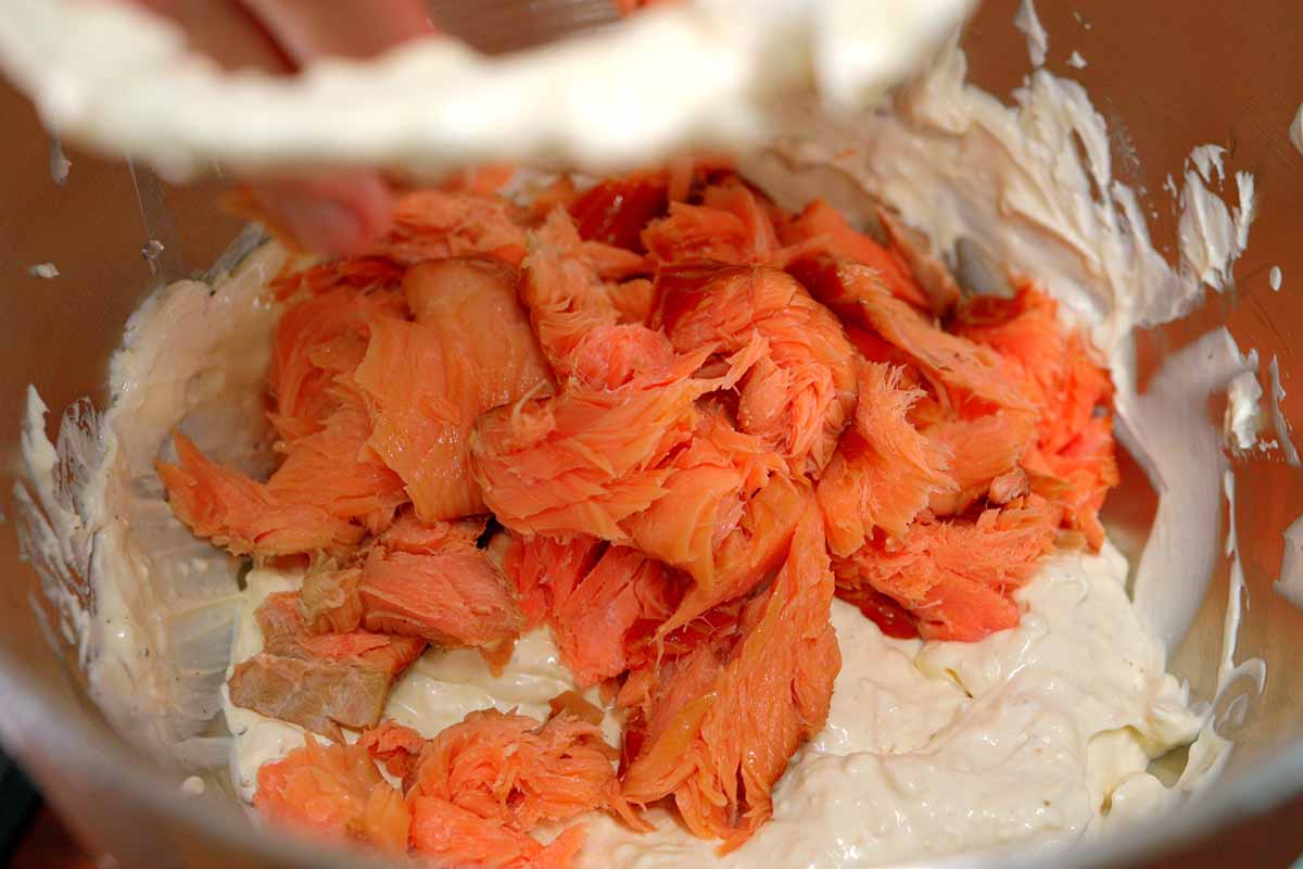 Adding smoked salmon to stand mixer for salmon dip